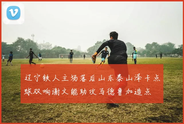 辽宁铁人主场落后山东泰山泽卡点球双响谢文能助攻马德鲁加造点