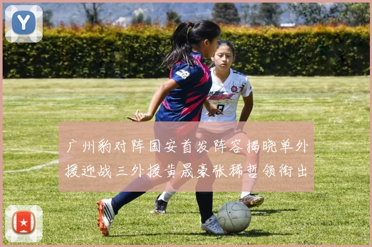 广州豹对阵国安首发阵容揭晓单外援迎战三外援黄晟豪张稀哲领衔出战